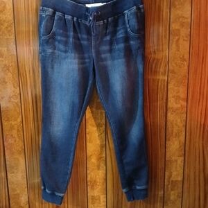 Torrid Blue Jeggings with Elastic Waistband and Tapered Leg Size 12
